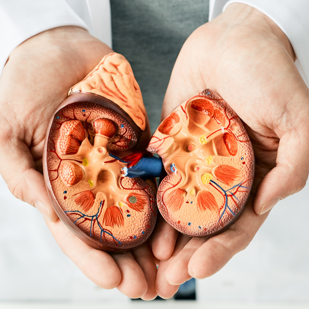 Mitochondrial Disease