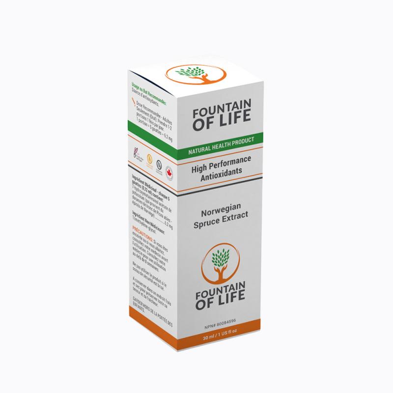 Fountain of Life